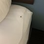 Photo of Sleep Inn & Suites by Choice Hotels