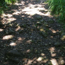 Siebengebirge - Feuchter und somit rutschiger Felsweg