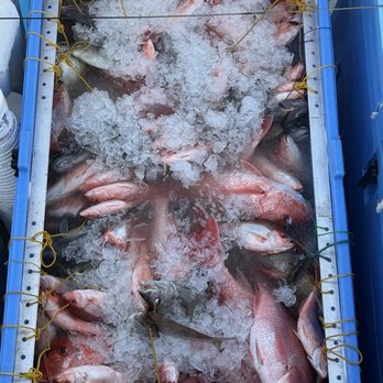 Crazy Sister Marina - Big Fish - Fishing Near Me - Murrells Inlet, South Carolina