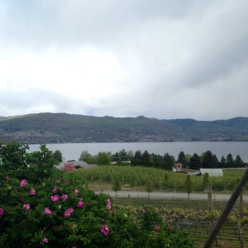 Nefarious Cellars - View of Lake Chelan from the parking lot. - Wineries Near Me - Pateros, Washington Nefarious Cellars - View of Lake Chelan from the parking lot. - Wineries Near Me - Pateros, Washington