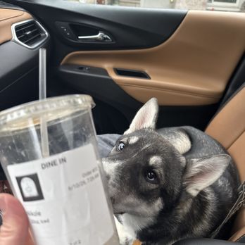 The Kove - Nikole 20oz Iced Coffee: My only complaint is it's GONE ALREADY!!! It was absolutely FANTASTIC! - Bakeries Near Me - Antigo, Wisconsin The Kove - Nikole 20oz Iced Coffee: My only complaint is it's GONE ALREADY!!! It was absolutely FANTASTIC! - Bakeries Near Me - Antigo, Wisconsin