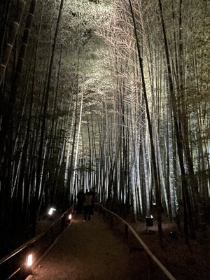 Kōdaiji Temple by null