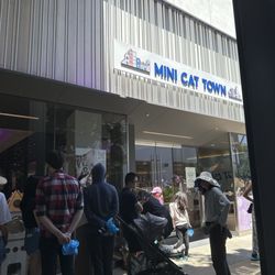 Mini Cat Town - Stanford Shopping Center - Line for grand opening