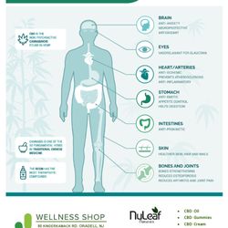 J Wellness Shop - Benefits of CBD