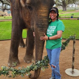 It's your favorite OCA...no, not the Elephant, me! It's your favorite OCA...no, not the Elephant, me!