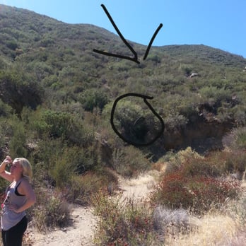 Old Banner Toll Road - Hiking Near Me