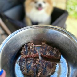 Esteban Restaurant - Pup Patty: Rare Ground Chuck Patty ($12)