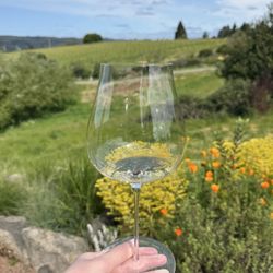 Littorai Wines