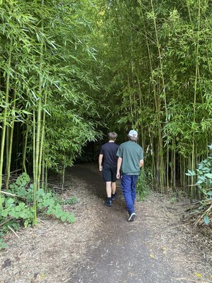 Fantastic Umbrella Factory by null