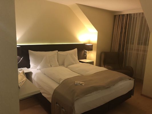 Hotel Spalentor Basel by null