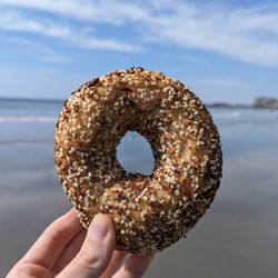 KPort Bagel - Everything bagel!