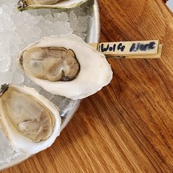 SoPo Seafood Market & Raw Bar - Wolfe River raw oysters