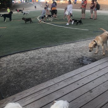 Bar K - No Other Pup bar area - Dog Parks Near Me - Kansas City, Missouri