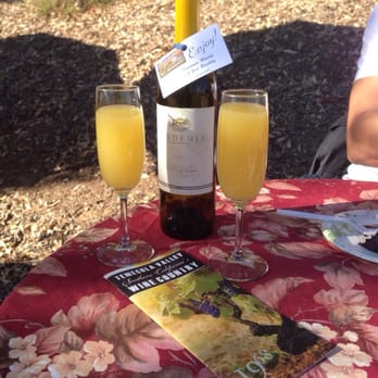 California Dreamin - Mimosas and complimentary bottle of Sauvignon Blanc! - Hot Air Balloons Near Me - Temecula, California