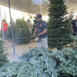 Christmas Ranch Tree Farms - Andy and our tree!!