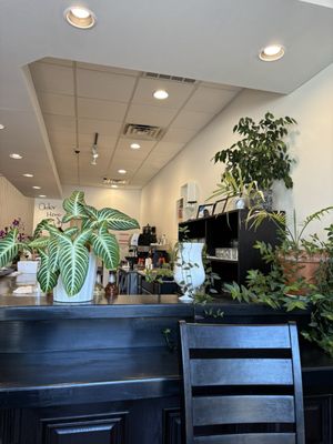 Blue Kale Cafe & Lounge by null