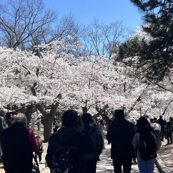 High Park - Light crowds on a Thursday afternoon - Parks Near Me - Toronto, Ontario