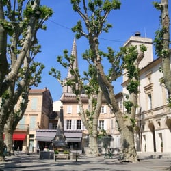 Office de Tourisme de Saint Rémy de Provence