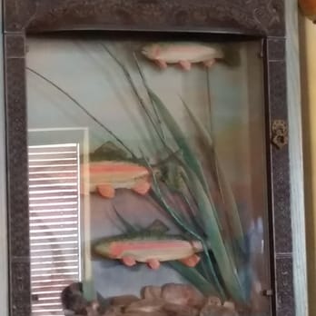 The Range Café - Fake fish tank - Mexican Near Me - Bernalillo, New Mexico