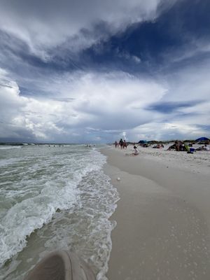 Grayton Beach State Park by null