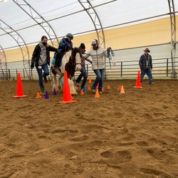 Free Rein Therapeutic Riding