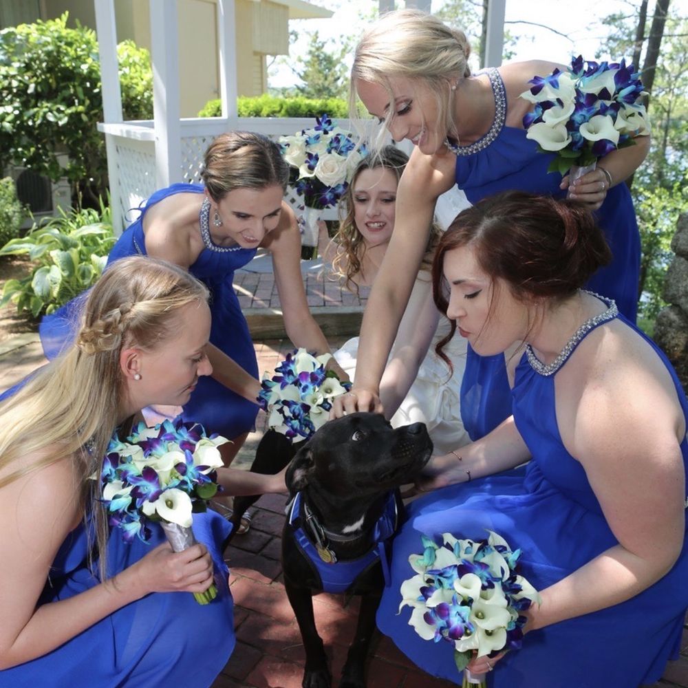 Lake Pearl Wrentham - Party & Event Planning Near Me - Wrentham, Massachusetts Lake Pearl Wrentham - Party & Event Planning Near Me - Wrentham, Massachusetts