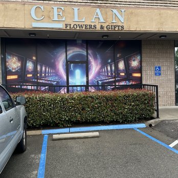 Das Flipperhaus - Outside Decor - Arcades Near Me - Rocklin, California