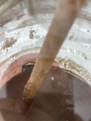 JOE & THE JUICE by null