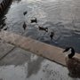 Photo of Quarterman Park