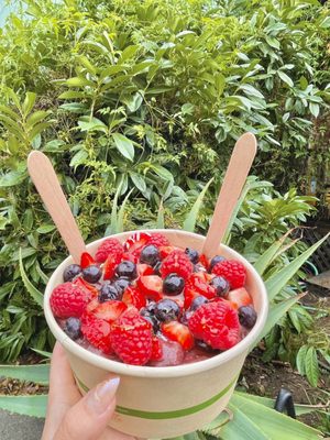 Mana Bowls Acai Cafe by null