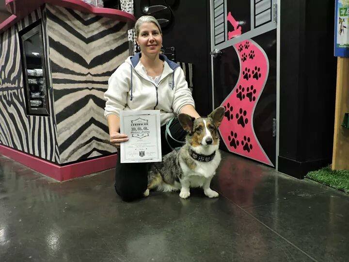 EASTVALE ANIMAL HOUSE Updated May 2024 Eastvale, California Dog