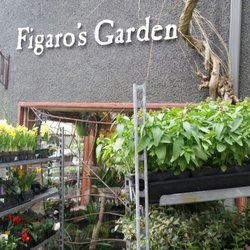 Figaro's Garden - Signage