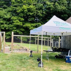 Shaggy Coos Farm - Little produce garden & cooler