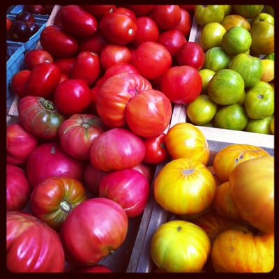 Down to Earth McGolrick Park Farmers Market by null