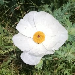 Guadalupe River RV Park and Campgrounds - spring brings beauty