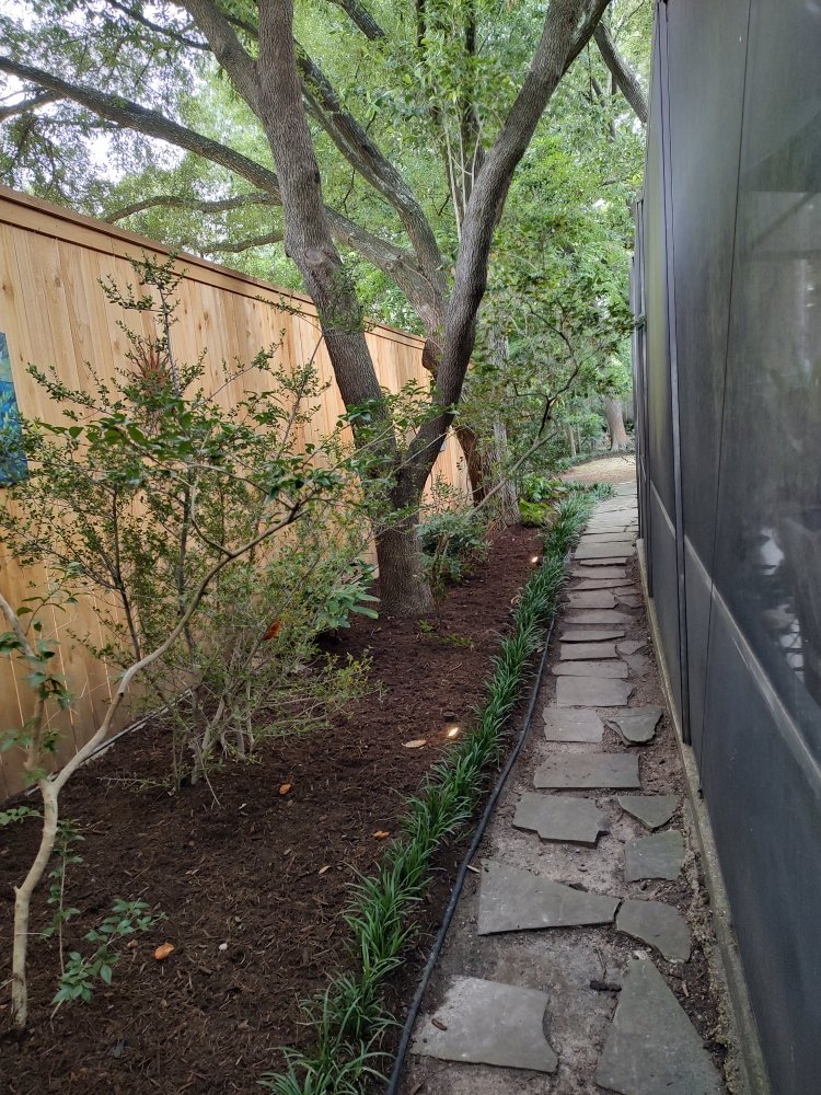 Slide of Cruz Landscape And More