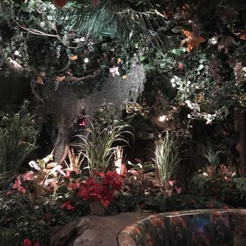 Rainforest Cafe - Inside - American Near Me - Atlantic City, New Jersey Rainforest Cafe - Inside - American Near Me - Atlantic City, New Jersey
