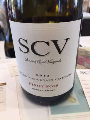 Sonoma Coast Vineyards by null