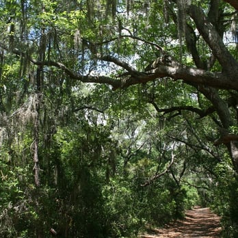 Camp Helen State Park - the shaded part of the nature trail - Parks Near Me - Panama City Beach, Florida