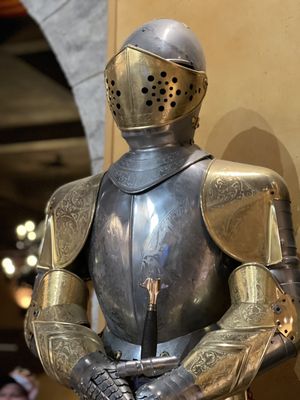 Medieval Times Dinner & Tournament by null