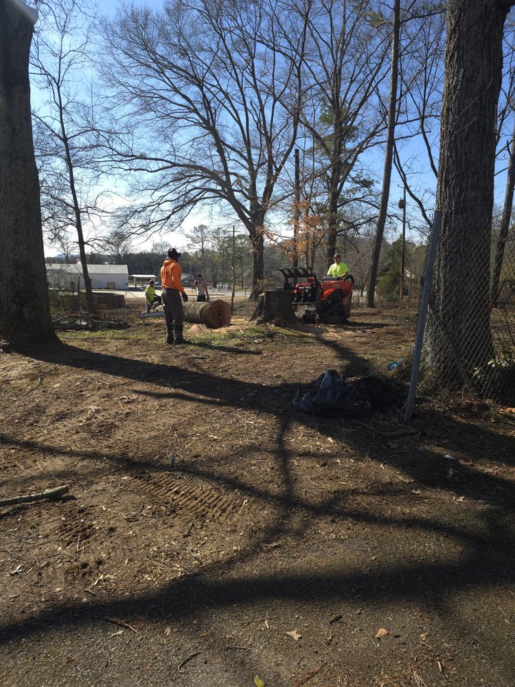 Slide of Pro Service Tree Service