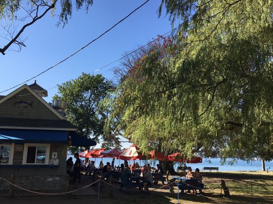 Clam Shack by null