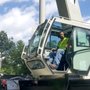 Photo of JJS Professional Tree Service & Stump Removal