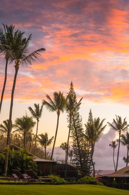 Hana-Maui Resort, a Destination by Hyatt Hotel by null