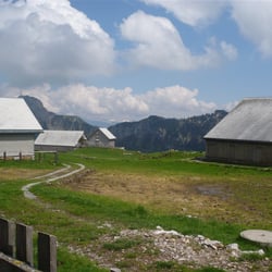 Alp Sigel