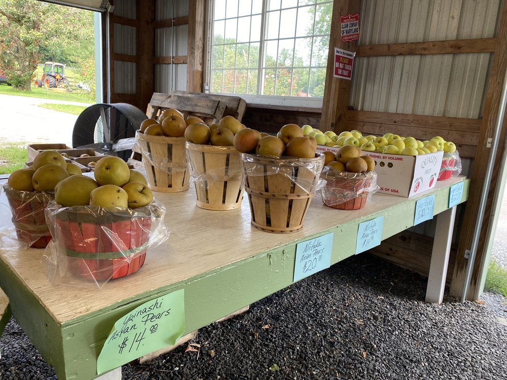 KINGSBURY’S ORCHARD Updated August 2024 19 Photos & 46 Reviews