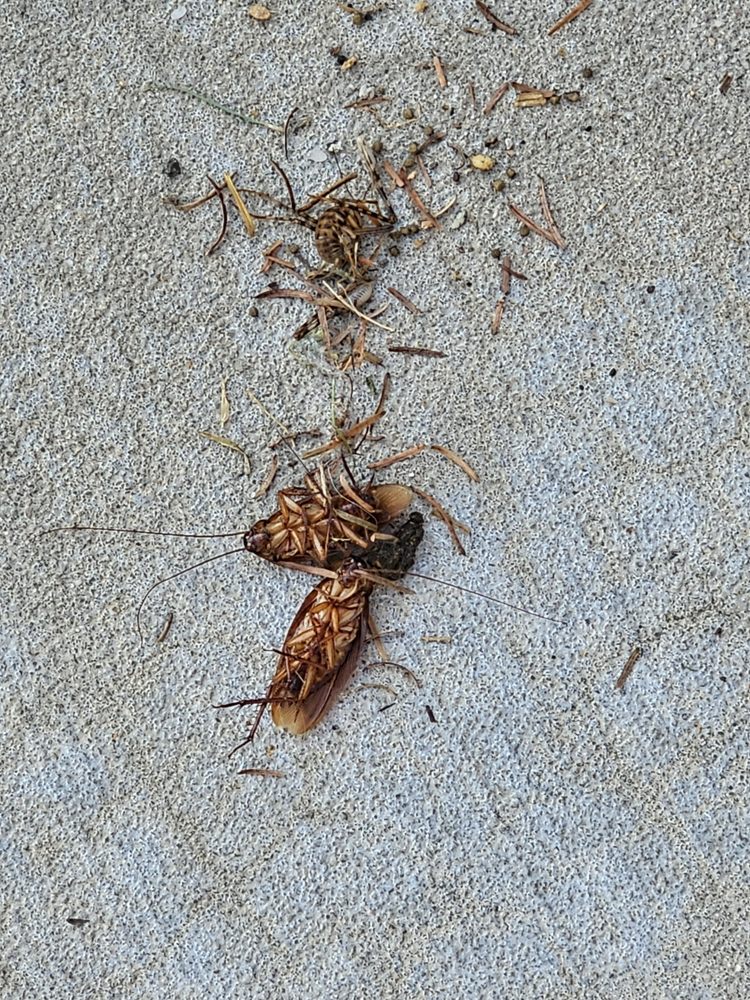 EAGLE ROCK APARTMENTS OF WOODBURY Updated September 2024 16 Photos