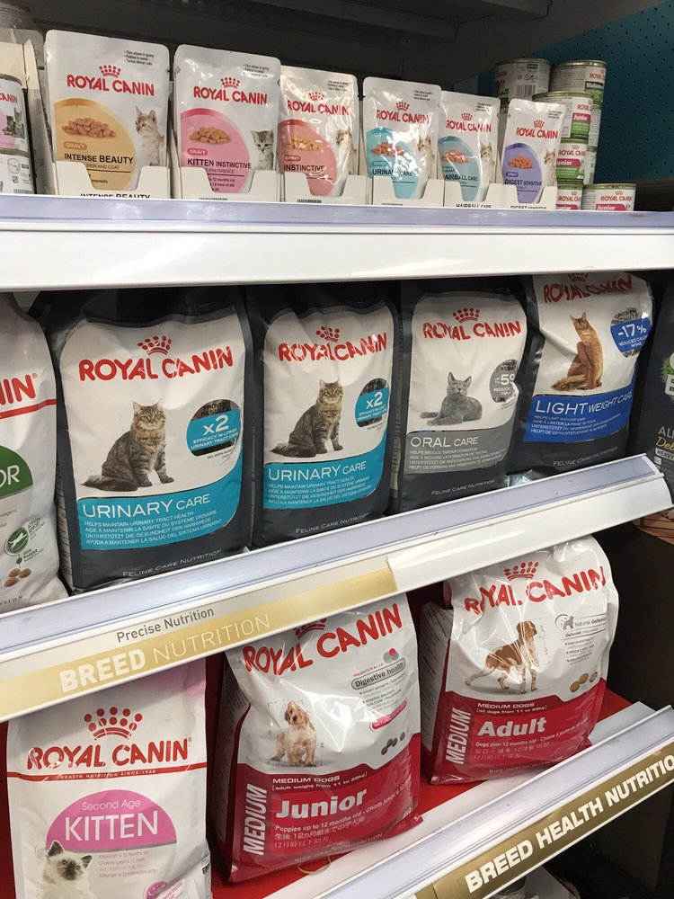 PET SHOP PAUL’S Updated July 2024 58 Gouger St, Adelaide South