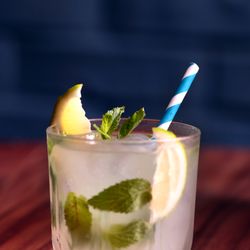Elegant Mojito