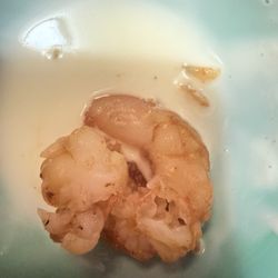 Pancho's Grill - Undercooked shrimp